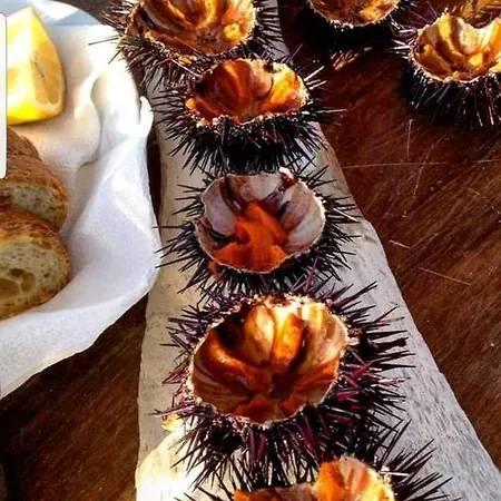 Akrotiri Villa Skyros