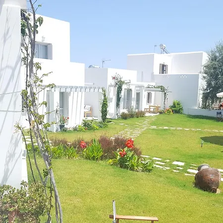 Akrotiri Skyros